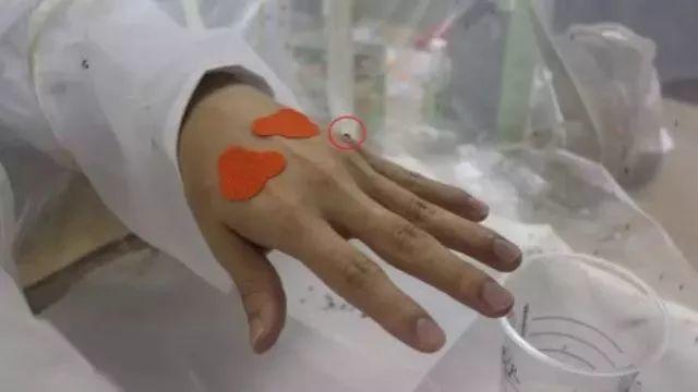 人肉测试：喂了500只蚊子，确认了这些防蚊产品才是你和娃需要的