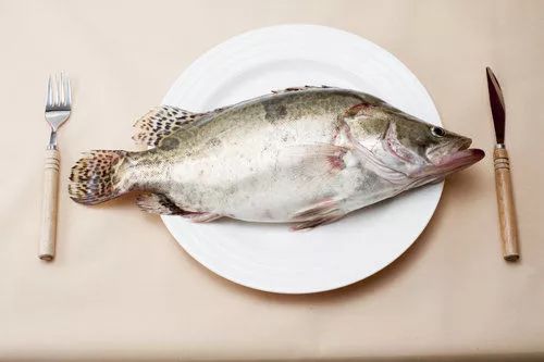 Health Canada吃鱼指南：纳尼！这样吃=服毒？