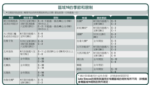 【史上最全】家庭钓鱼周准备来袭，在安省钓鱼你需要知道的事！
