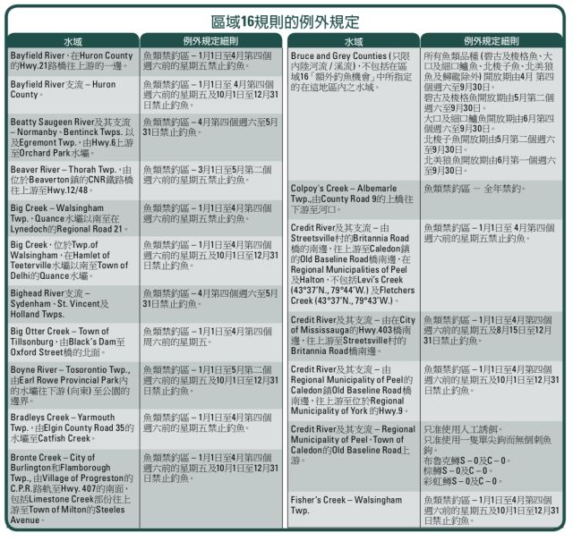 【史上最全】家庭钓鱼周准备来袭，在安省钓鱼你需要知道的事！