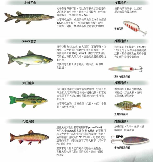 【史上最全】家庭钓鱼周准备来袭，在安省钓鱼你需要知道的事！