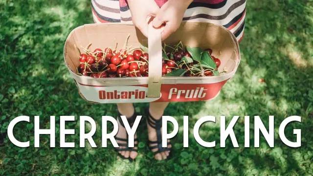 看瀑布摘樱桃：多伦多7月樱桃摘摘乐就去这几个果园
