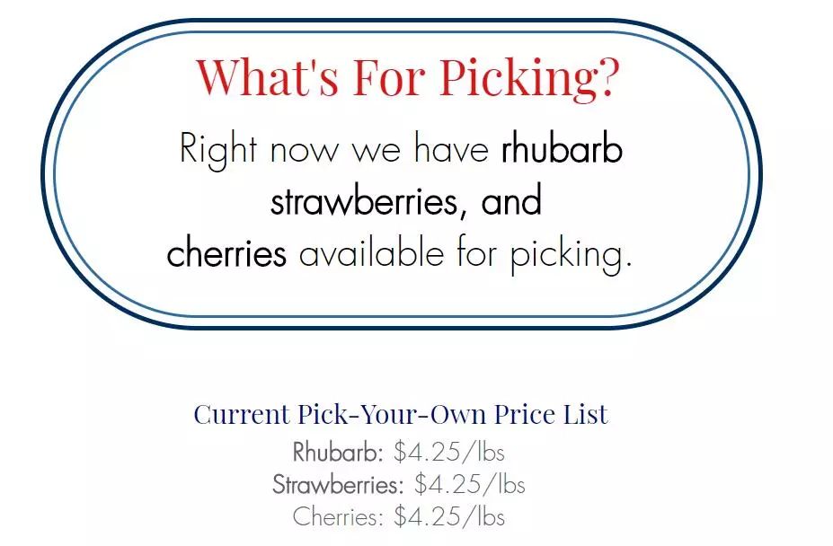 看瀑布摘樱桃：多伦多7月樱桃摘摘乐就去这几个果园