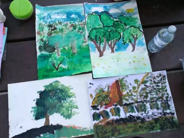 【大师养成计划】多伦多暑期亲子户外写生：感受夏日光影