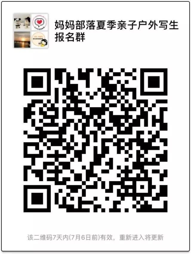 【大师养成计划】多伦多暑期亲子户外写生：感受夏日光影