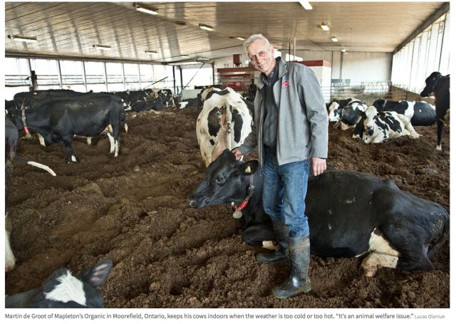 有机牛奶和普通牛奶没区别？！最新研究说你被套路了！