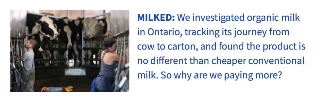 有机牛奶和普通牛奶没区别？！最新研究说你被套路了！