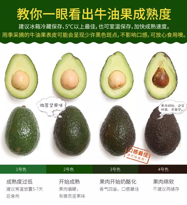 【辅食界的扛把子牛油果】怎么吃？怎么挑？怎么切？你戳啊！