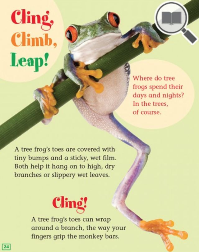 北美爸妈给娃订的14本杂志：2-14岁对号订阅！