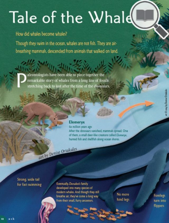 北美爸妈给娃订的14本杂志：2-14岁对号订阅！