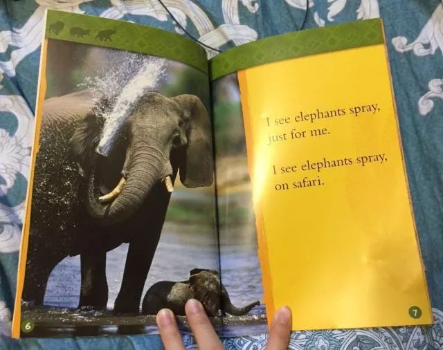 北美爸妈给娃订的14本杂志：2-14岁对号订阅！