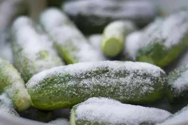 我说你不会吃盐你还不信！有本事戳此文啊！