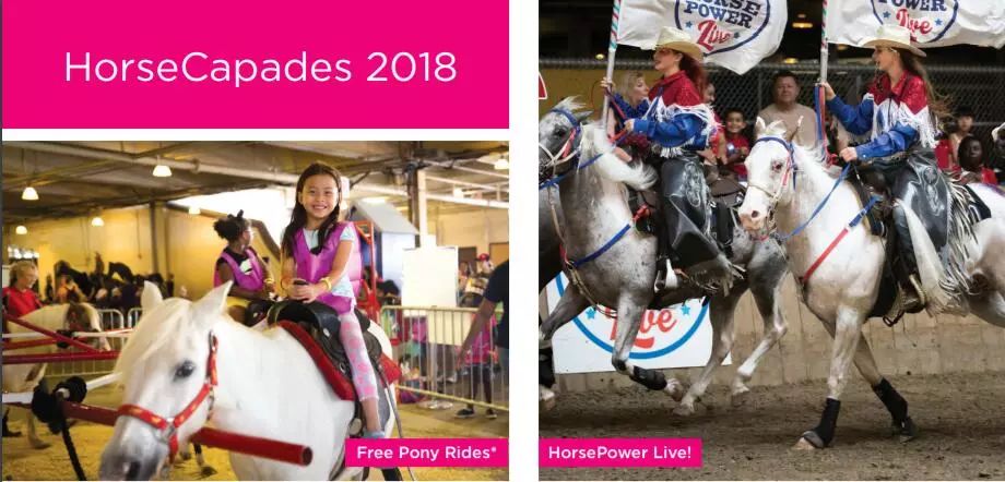 CNE HorseCapades：这个周末开始可以去免费骑小马了！