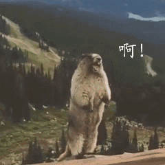 啥？孩子们最爱的小鱼饼干也召回了！又是沙门氏菌！