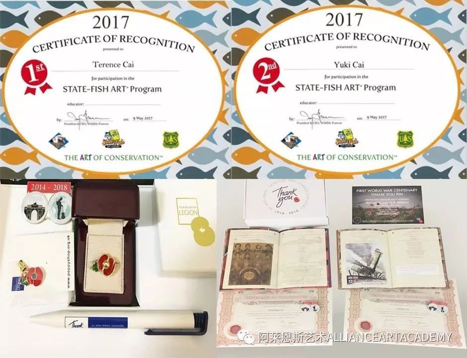 关于儿童艺术教育，你所知道的和不知道的