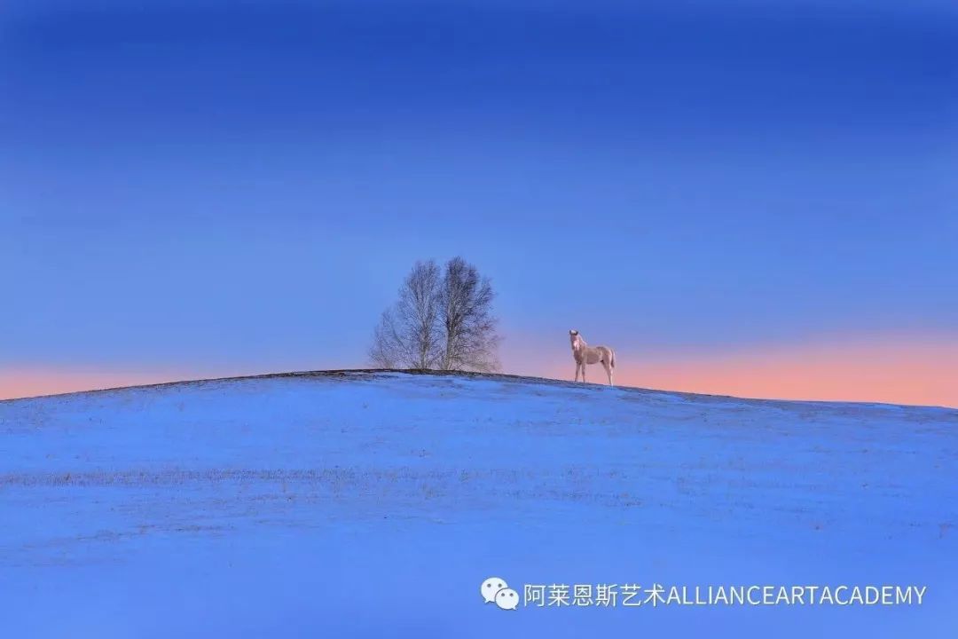 关于儿童艺术教育，你所知道的和不知道的