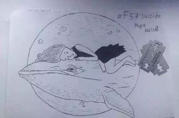 警惕!自杀游戏momo风靡网络,已有12岁女童自杀身亡!