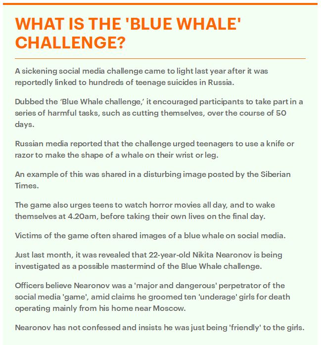 警惕！自杀游戏Momo风靡网络，已有12岁女童自杀身亡！