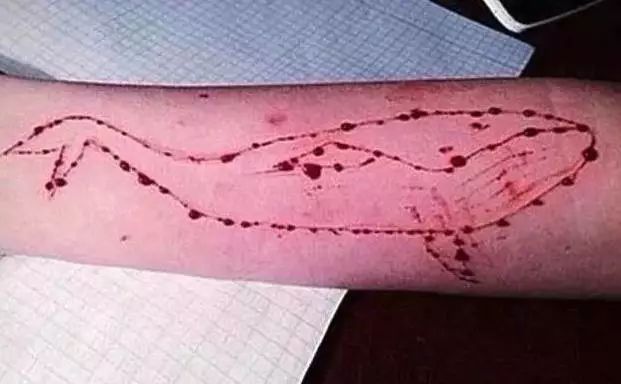 警惕！自杀游戏Momo风靡网络，已有12岁女童自杀身亡！