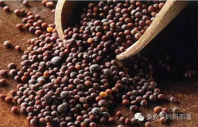 【吃货的科普】多伦多超市里那些看不懂的调料中英文对照及用法