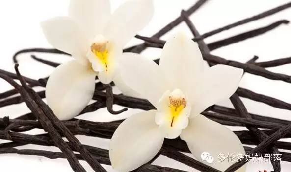 【吃货的科普】多伦多超市里那些看不懂的调料中英文对照及用法