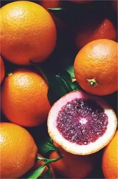 20种罕见的水果,一包辣条赌你认识不超过5种! 20种罕见的水果,一包辣条赌你认识不超过5种!