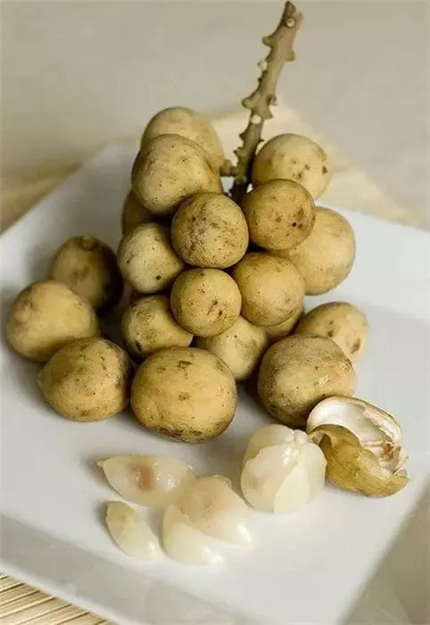 20种罕见的水果,一包辣条赌你认识不超过5种! 20种罕见的水果,一包辣条赌你认识不超过5种!