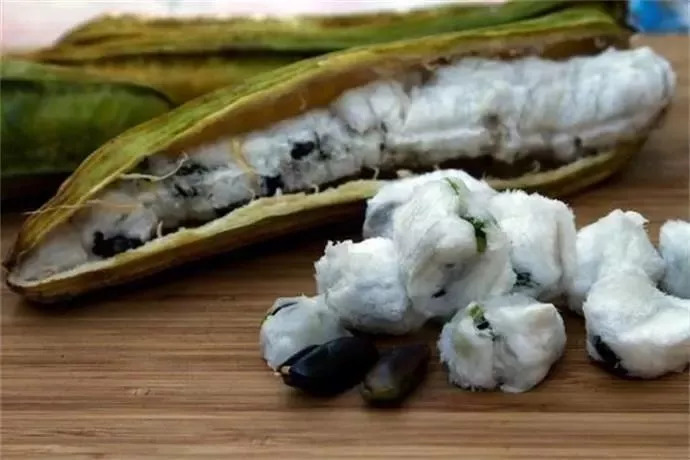 20种罕见的水果,一包辣条赌你认识不超过5种! 20种罕见的水果,一包辣条赌你认识不超过5种!