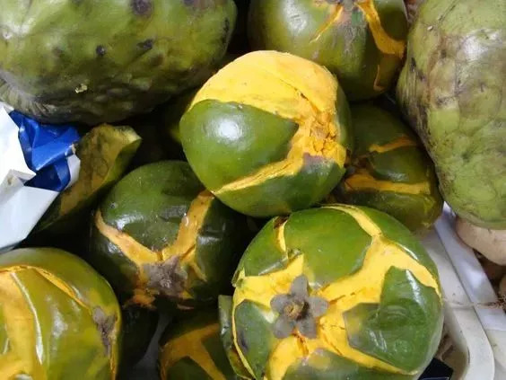 20种罕见的水果,一包辣条赌你认识不超过5种! 20种罕见的水果,一包辣条赌你认识不超过5种!