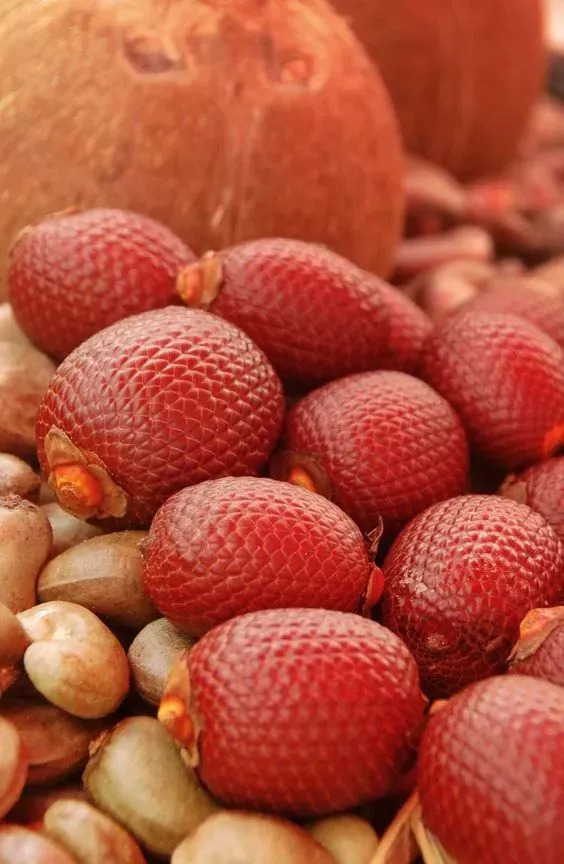 20种罕见的水果,一包辣条赌你认识不超过5种! 20种罕见的水果,一包辣条赌你认识不超过5种!