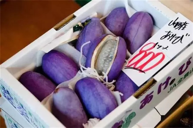 20种罕见的水果,一包辣条赌你认识不超过5种! 20种罕见的水果,一包辣条赌你认识不超过5种!