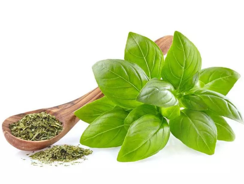 多伦多超市里N+1种酱料图文攻略：有一种辣酱能捉奸....