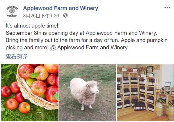 苹果熟了！多伦多周边5个最适合带娃去的果园！