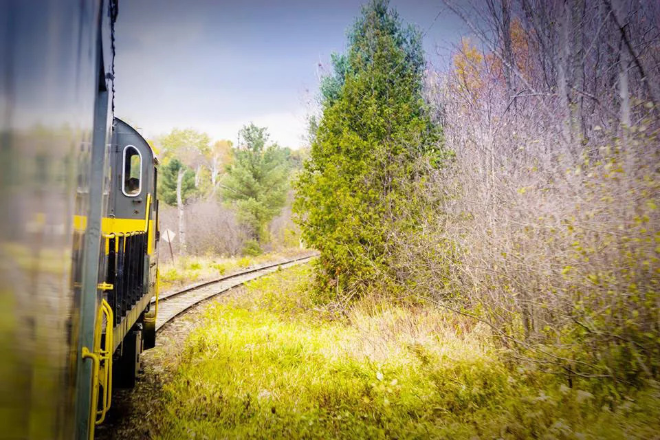 安省境内6条短途火车赏枫观光线路：火车票分分钟卖光