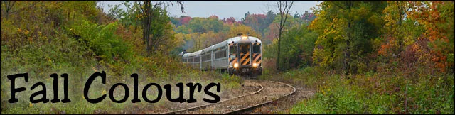 安省境内6条短途火车赏枫观光线路：火车票分分钟卖光