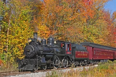 安省境内6条短途火车赏枫观光线路：火车票分分钟卖光