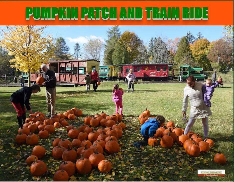 安省境内6条短途火车赏枫观光线路：火车票分分钟卖光