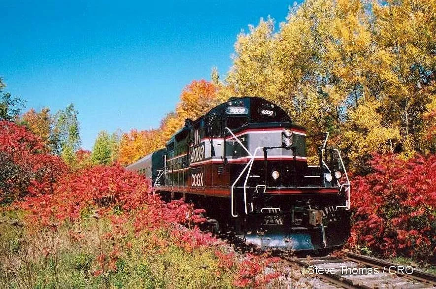 安省境内6条短途火车赏枫观光线路：火车票分分钟卖光