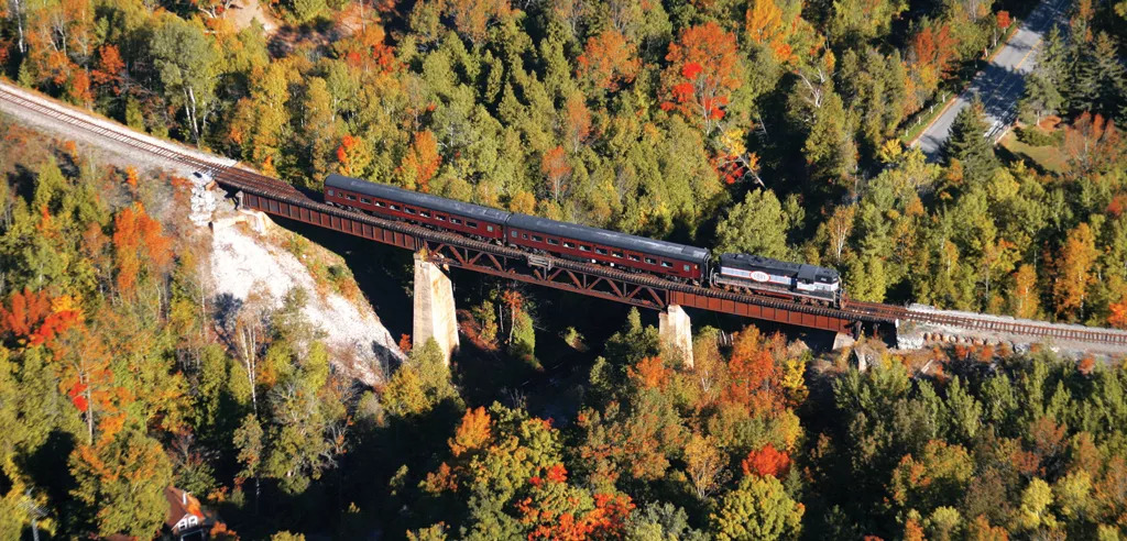 安省境内6条短途火车赏枫观光线路：火车票分分钟卖光