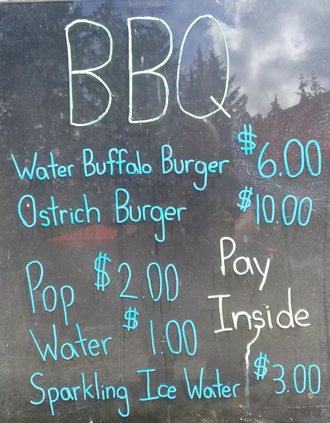 不喂鸡不喂兔兔，我们一起去喂鸵鸟！鸵鸟农场戳一下！