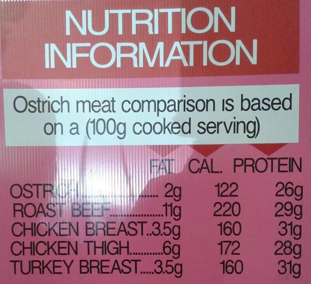 不喂鸡不喂兔兔，我们一起去喂鸵鸟！鸵鸟农场戳一下！