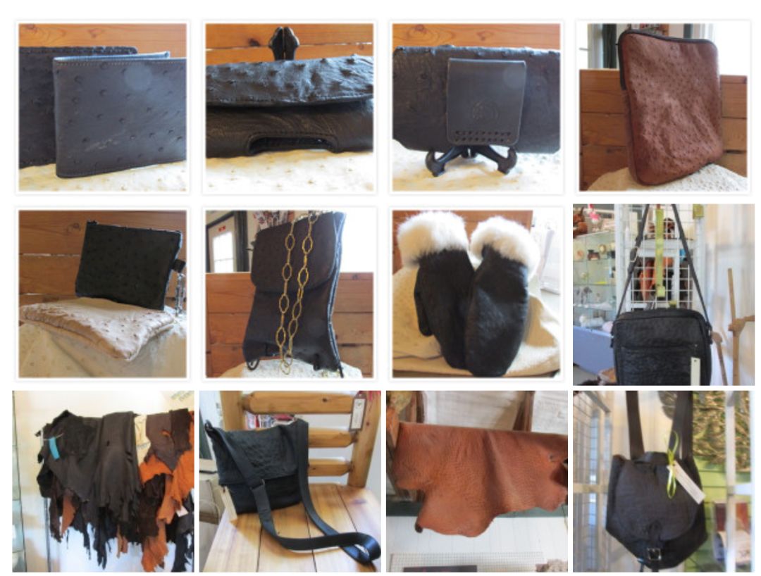 不喂鸡不喂兔兔，我们一起去喂鸵鸟！鸵鸟农场戳一下！