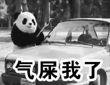 中年老母的2018年度总结:扎心!扎心!扎心! 中年老母的2018年度总结:扎心!扎心!扎心!