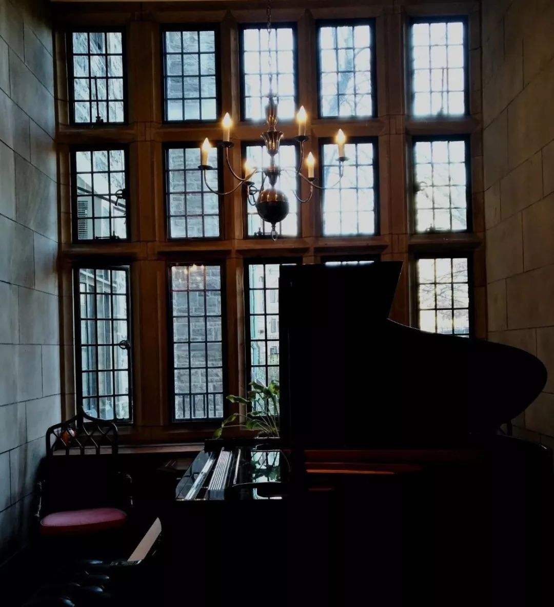 买钢琴是技术活！一篇入门教你如何挑选！