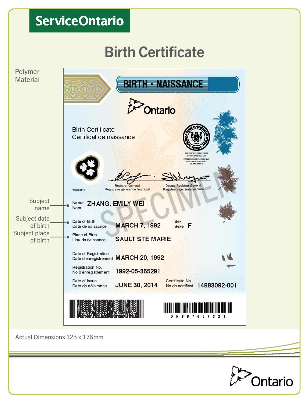 【2019最新】华裔宝宝办证大全：健康卡、出生纸、福利金、护照、旅行证、签证