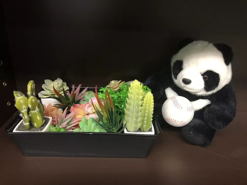 好嗨哟!这个春假,我和熊猫一起过! 好嗨哟!这个春假,我和熊猫一起过!
