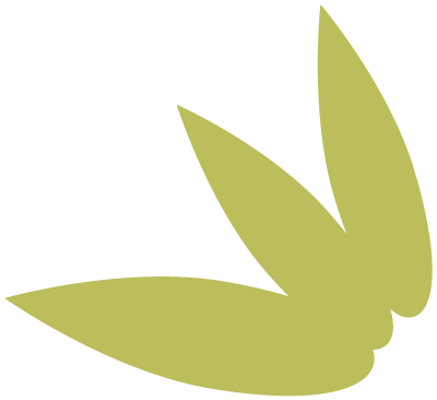 好嗨哟!这个春假,我和熊猫一起过! 好嗨哟!这个春假,我和熊猫一起过!