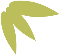 好嗨哟!这个春假,我和熊猫一起过! 好嗨哟!这个春假,我和熊猫一起过!