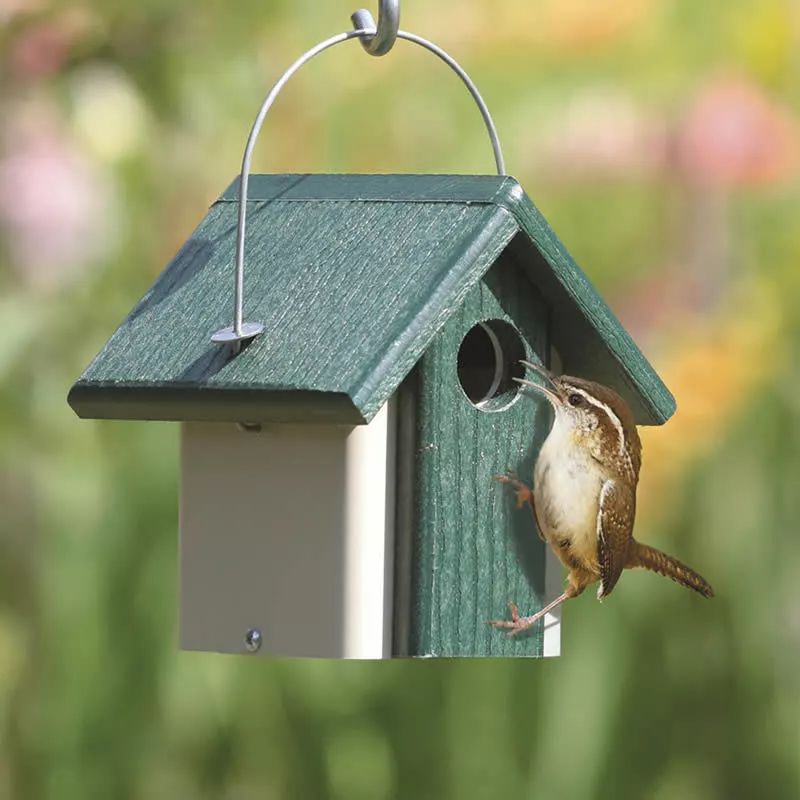 【4月免费手工坊】春天到了，给鸟儿做个家！打理草坪花园小技能get起来～