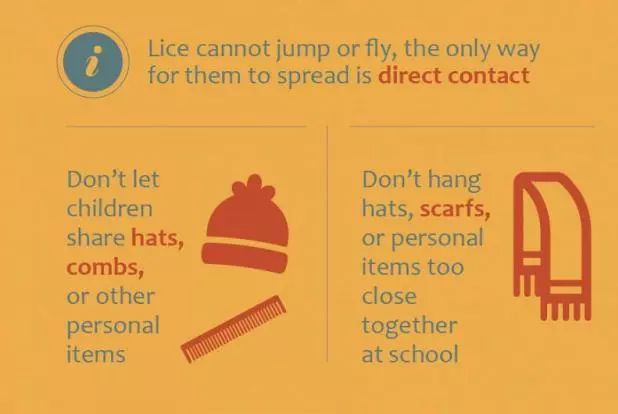 又闹虱子！还是变异的！长过虱子的娃更容易被传染！！